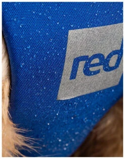 Red Paddle Co. Red Paddle Co Dog Buoyancy Aid -Meilleur Bateaux Magasin red paddle co dog buoyancy aid blue xs 330 480 mm blue 7