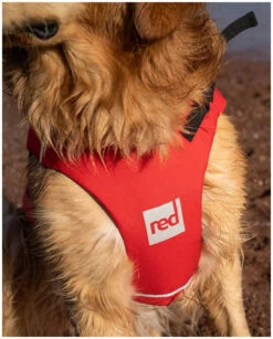 Red Paddle Co. Red Paddle Co Dog Buoyancy Aid -Meilleur Bateaux Magasin red paddle co dog buoyancy aid red 5 1