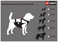 Red Paddle Co. Red Paddle Co Dog Buoyancy Aid -Meilleur Bateaux Magasin red paddle co dog buoyancy aid xs 330 480 mm red 1