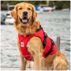 Red Paddle Co. Red Paddle Co Dog Buoyancy Aid -Meilleur Bateaux Magasin red paddle co dog buoyancy aid xs 330 480 mm red 2