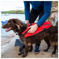 Red Paddle Co. Red Paddle Co Dog Buoyancy Aid -Meilleur Bateaux Magasin red paddle co dog buoyancy aid xs 330 480 mm red 3