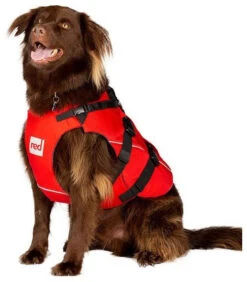 Red Paddle Co. Red Paddle Co Dog Buoyancy Aid -Meilleur Bateaux Magasin red paddle co dog buoyancy aid xs 330 480 mm red 4